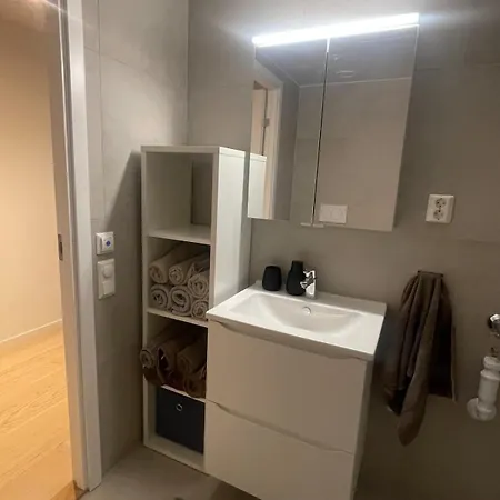 Apartament Center Vervet *